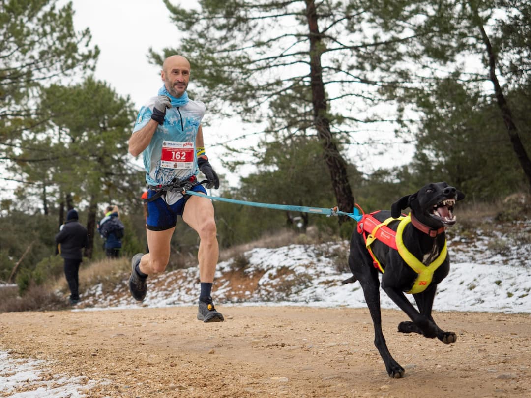 Rafael medina medalla de bronce en canicross campeonato de España